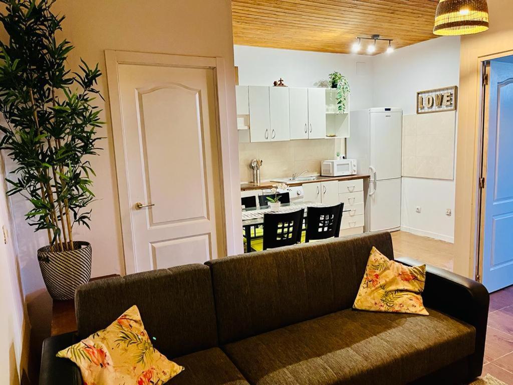 Appartement Pintadera House Caracola à Icod De Los Vinos Extérieur photo